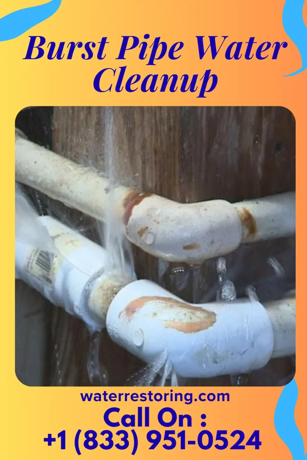 Burst Pipe Water Cleanup in Fulton, MO